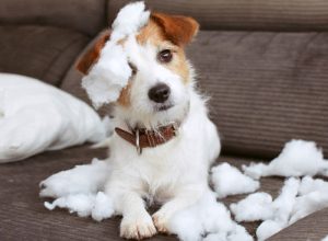 bereit-fuer-ein-neues-wohngefuehl- bereit-fuer-ein-neues-wohngefuehl-